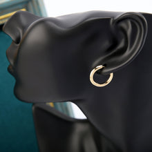 Load image into Gallery viewer, Felicity Hoop Earrings E01433
