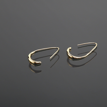 Load image into Gallery viewer, Teardrop Earrings E01235