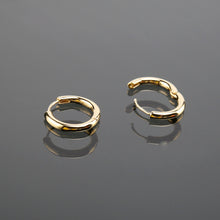 Load image into Gallery viewer, Felicity Hoop Earrings E01433