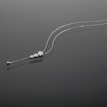Load image into Gallery viewer, Brilliant Drop Necklace N00975